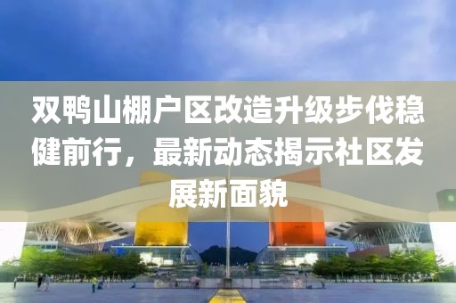 双鸭山棚户区改造升级步伐稳健前行，最新动态揭示社区发展新面貌