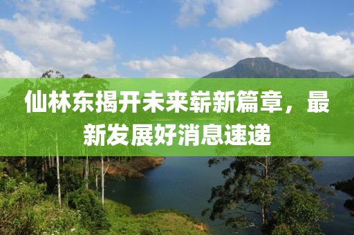 仙林东揭开未来崭新篇章，最新发展好消息速递