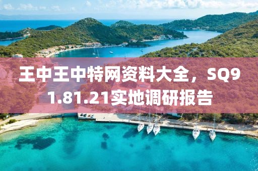 王中王中特网资料大全，SQ91.81.21实地调研报告