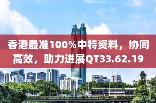香港最准100%中特资料，协同高效，助力进展QT33.62.19