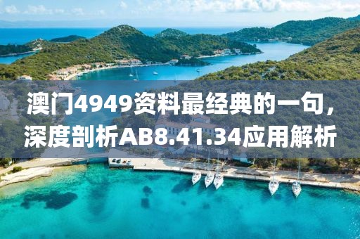 澳门4949资料最经典的一句，深度剖析AB8.41.34应用解析