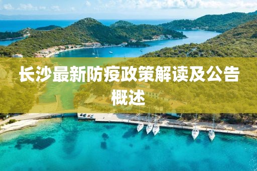 长沙最新防疫政策解读及公告概述