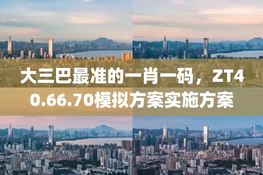 大三巴最准的一肖一码，ZT40.66.70模拟方案实施方案