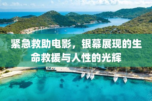 紧急救助电影，银幕展现的生命救援与人性的光辉