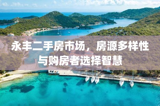 永丰二手房市场，房源多样性与购房者选择智慧