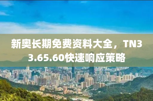 新奥长期免费资料大全，TN33.65.60快速响应策略