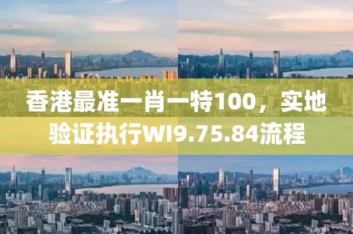 香港最准一肖一特100，实地验证执行WI9.75.84流程