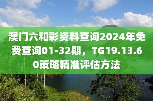 澳门六和彩资料查询2024年免费查询01-32期，TG19.13.60策略精准评估方法