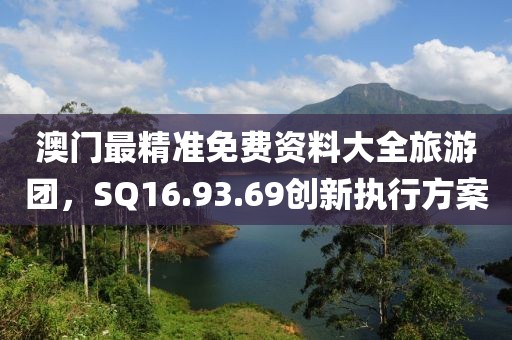 澳门最精准免费资料大全旅游团，SQ16.93.69创新执行方案