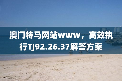澳门特马网站www，高效执行TJ92.26.37解答方案