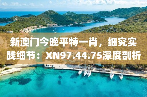 新澳门今晚平特一肖，细究实践细节：XN97.44.75深度剖析