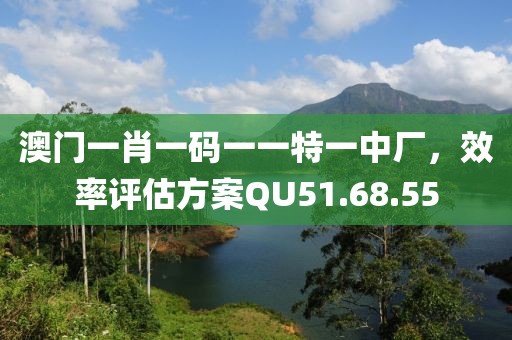 澳门一肖一码一一特一中厂，效率评估方案QU51.68.55
