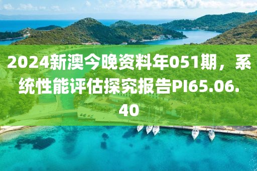 2024新澳今晚资料年051期，系统性能评估探究报告PI65.06.40
