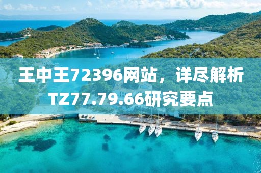 王中王72396网站，详尽解析TZ77.79.66研究要点