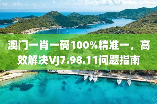 澳门一肖一码100%精准一，高效解决VJ7.98.11问题指南