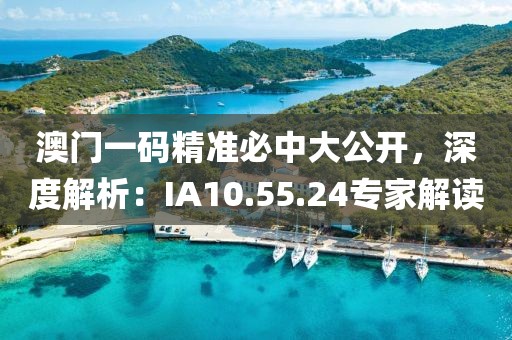 澳门一码精准必中大公开，深度解析：IA10.55.24专家解读