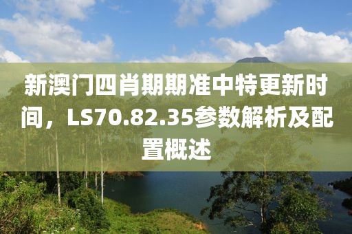 新澳门四肖期期准中特更新时间，LS70.82.35参数解析及配置概述