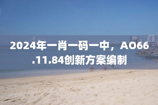 2024年一肖一码一中，AO66.11.84创新方案编制