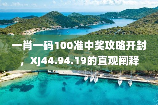 一肖一码100准中奖攻略开封，XJ44.94.19的直观阐释