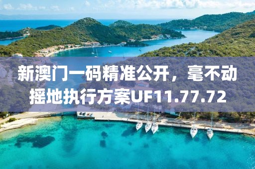 新澳门一码精准公开，毫不动摇地执行方案UF11.77.72