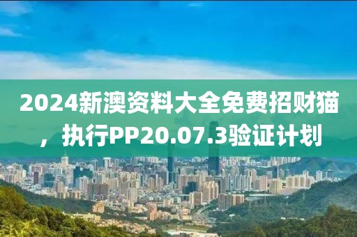 2024新澳资料大全免费招财猫，执行PP20.07.3验证计划