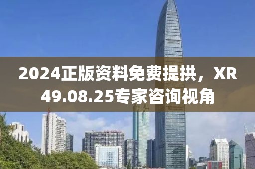 2024正版资料免费提拱，XR49.08.25专家咨询视角