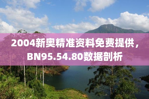 2004新奥精准资料免费提供，BN95.54.80数据剖析