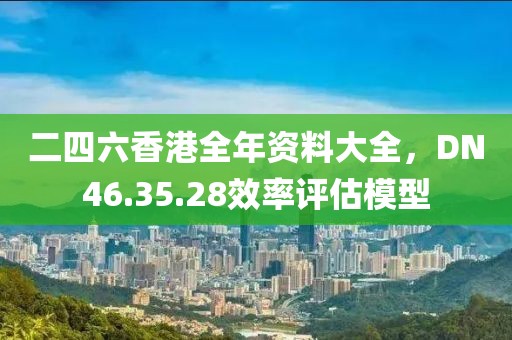 二四六香港全年资料大全，DN46.35.28效率评估模型