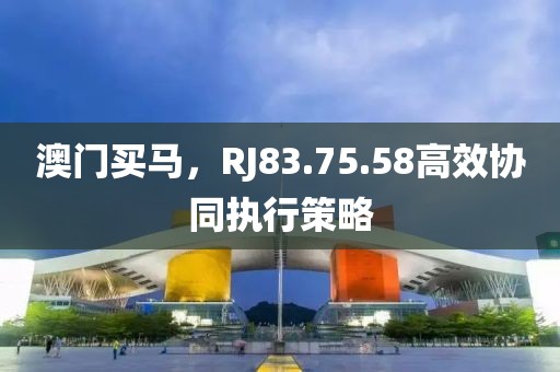 澳门买马，RJ83.75.58高效协同执行策略