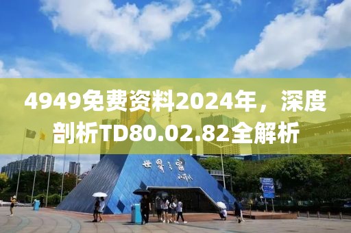 4949免费资料2024年，深度剖析TD80.02.82全解析