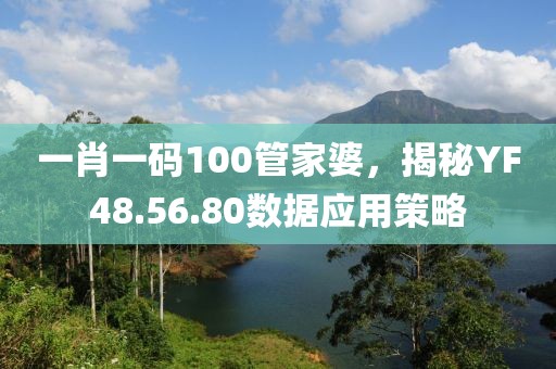 一肖一码100管家婆，揭秘YF48.56.80数据应用策略