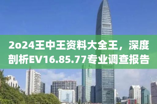 2o24王中王资料大全王，深度剖析EV16.85.77专业调查报告