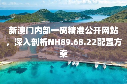 新澳门内部一码精准公开网站，深入剖析NH89.68.22配置方案
