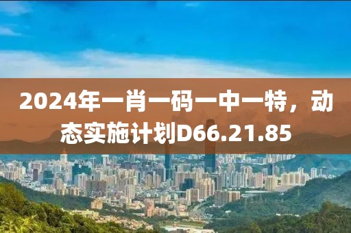 2024年一肖一码一中一特，动态实施计划D66.21.85