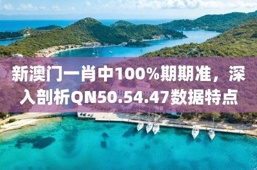 新澳门一肖中100%期期准，深入剖析QN50.54.47数据特点