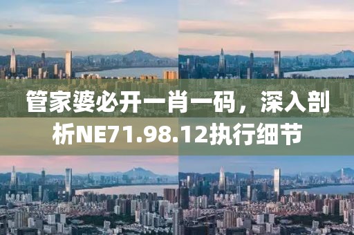 管家婆必开一肖一码，深入剖析NE71.98.12执行细节