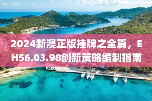 2024新澳正版挂牌之全篇，EH56.03.98创新策略编制指南