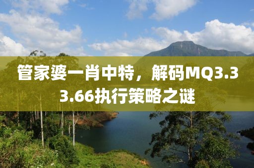 管家婆一肖中特，解码MQ3.33.66执行策略之谜