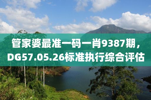 管家婆最准一码一肖9387期，DG57.05.26标准执行综合评估