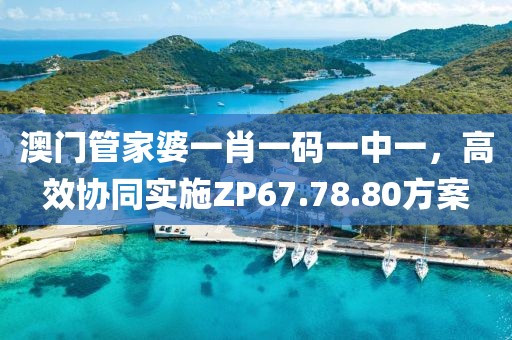 澳门管家婆一肖一码一中一，高效协同实施ZP67.78.80方案