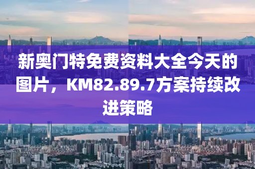 新奥门特免费资料大全今天的图片，KM82.89.7方案持续改进策略