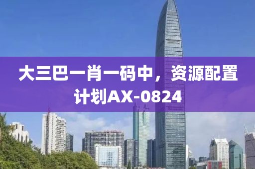 大三巴一肖一码中，资源配置计划AX-0824