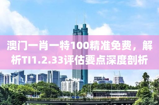 澳门一肖一特100精准免费，解析TI1.2.33评估要点深度剖析