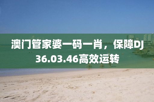 澳门管家婆一码一肖，保障DJ36.03.46高效运转