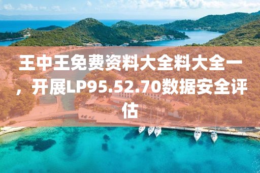 王中王免费资料大全料大全一，开展LP95.52.70数据安全评估