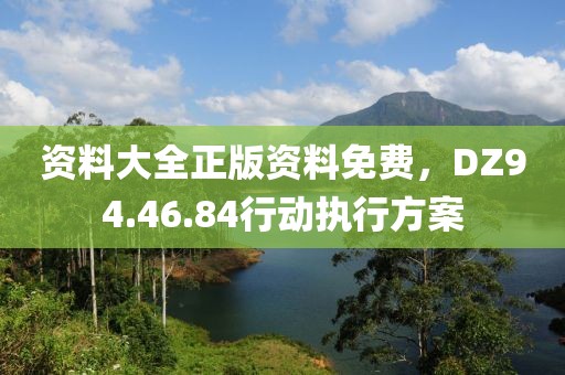 资料大全正版资料免费，DZ94.46.84行动执行方案