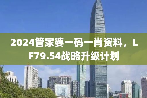 2024管家婆一码一肖资料，LF79.54战略升级计划