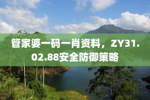 管家婆一码一肖资料，ZY31.02.88安全防御策略