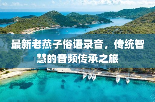 最新老燕子俗语录音，传统智慧的音频传承之旅