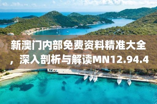 新澳门内部免费资料精准大全，深入剖析与解读MN12.94.40